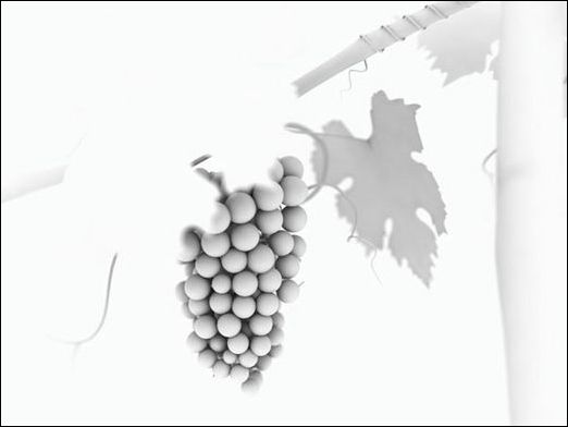 3ds Max教程:制作饱满多汁葡萄