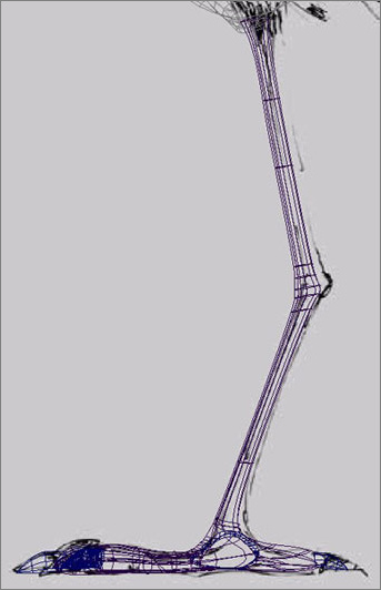 Maya建模教程：制作超可爱的卡通尖嘴鸟