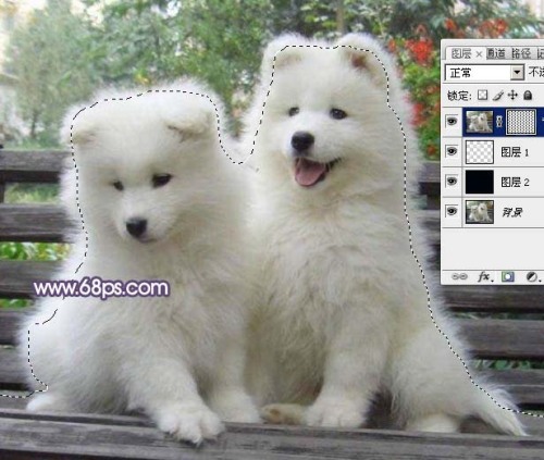 Photoshop抠图教程 利用抽出滤镜抠出白色毛绒小狗 图6