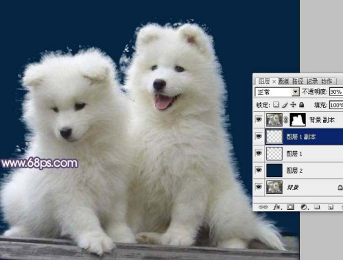 Photoshop抠图教程 利用抽出滤镜抠出白色毛绒小狗 图9