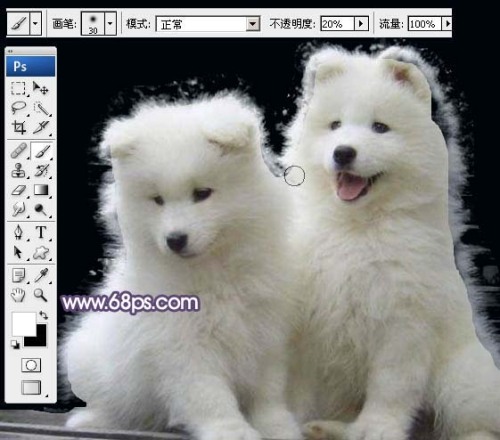 Photoshop抠图教程 利用抽出滤镜抠出白色毛绒小狗 图7