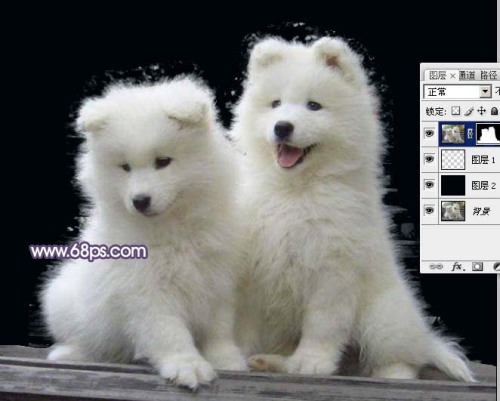 Photoshop技巧：抽出滤镜抠出白色的小狗