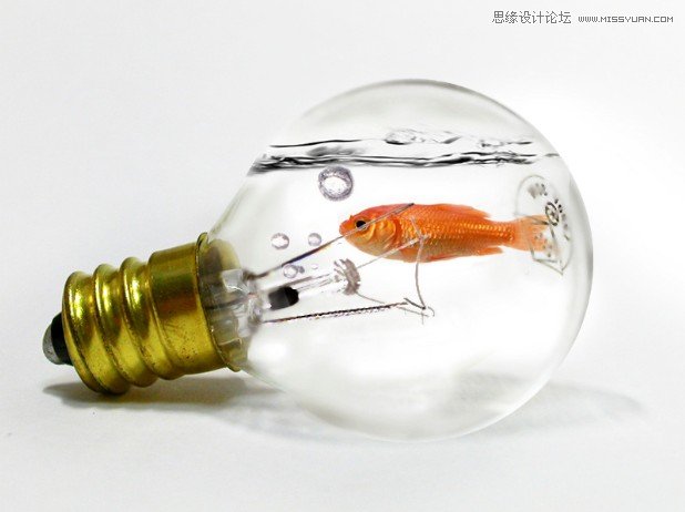 PS合成教程 在灯泡里游泳的金鱼