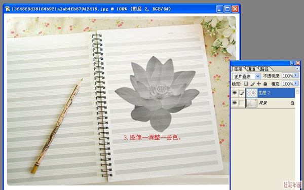 Photoshop实例教程 笔记本上的手绘荷花