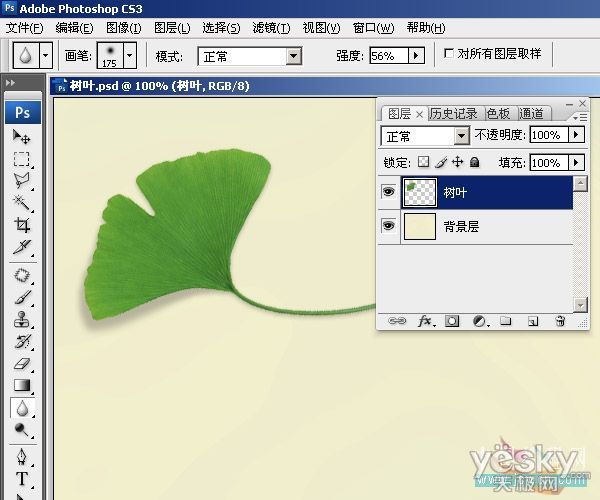 Photoshop教程 用复制变换做图案