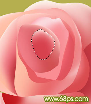 Photoshop实例教程 绘制漂亮的粉色玫瑰花 图30