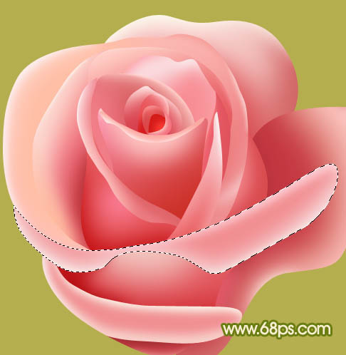 Photoshop实例教程 绘制漂亮的粉色玫瑰花 图37