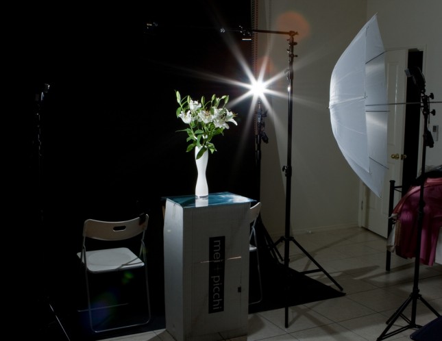 摄影基础教程 如何使用压光技巧拍出突出主体的照片 图2