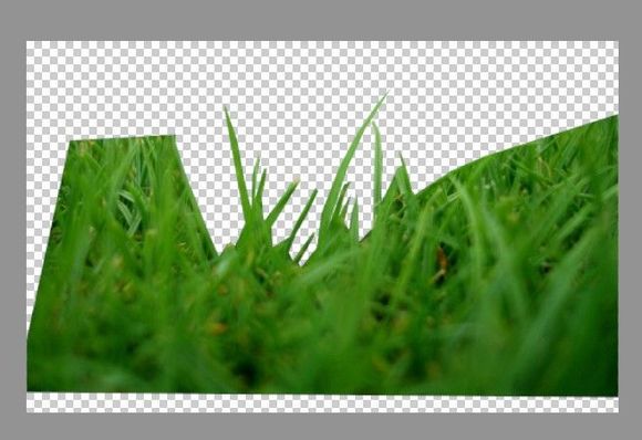 PS文字特效教程 快速製作綠色草叢中的立體字 圖2