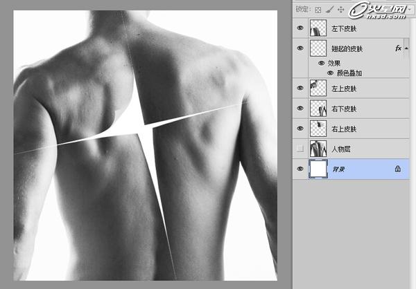 Photoshop制作人体皮肤撕裂海报 图4