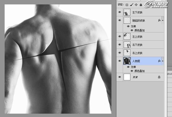 Photoshop制作人体皮肤撕裂海报 图5