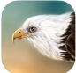 追捕和猎杀IOS版(模拟游戏) v1.5 iPhone版