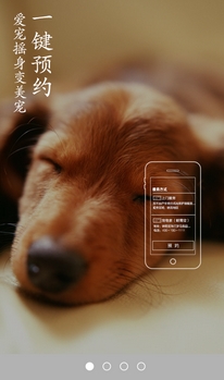 宠物家手机版(手机宠物美容软件) v1.4.5 安卓版