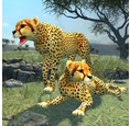猎豹模拟器苹果版v1.3 免费版