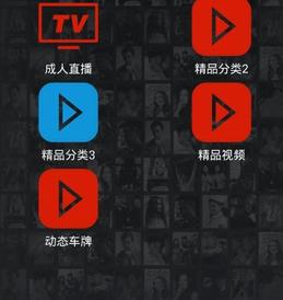 绝非手电筒SSBOX安卓汉化版v9.4 中文版