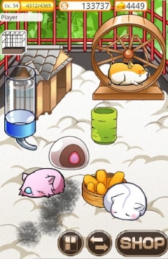 仓鼠的日常汉化版(Hamster Life) v4.5.2 安卓最新版