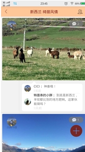 旅游司南app手机版(旅游资讯交流社群) v1.2.8 安卓版