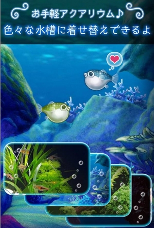 我的河豚鱼水族馆安卓版(养成类手机游戏) v1.0.0 免费版