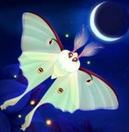 蝴蝶之星夜苹果版(Flutter Starlight) v1.0 手机版