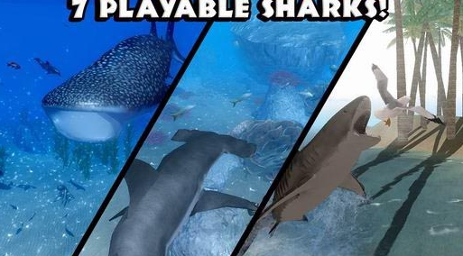 究极鲨鱼模拟器安卓手机版(Ultimate Shark Simulator) v1.3.3 最新版