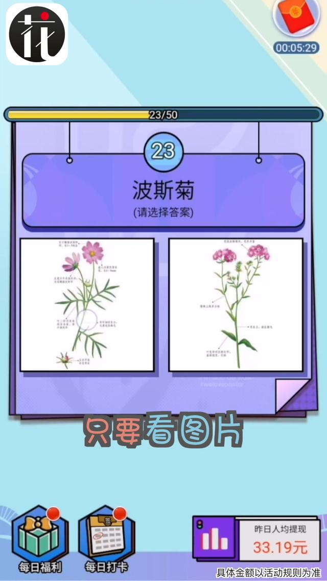 爱上鲜花v1.6.1