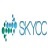 SKYCC URL存活与收录批量检查工具