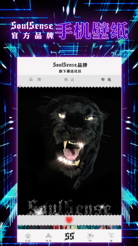 SoulSense1.7.33