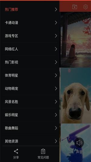 王者视频桌面v1.2.3