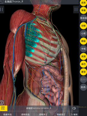3Dbody解剖iPhone版(看到人体结构) v7.11.0 苹果版