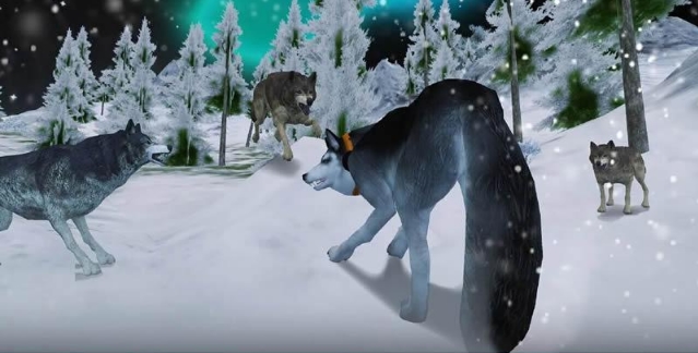 哈士奇3D安卓手机版(Husky Dog Simulator 3D) v1.0 免费版