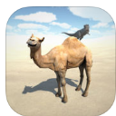 沙丘模拟器苹果版(模拟沙漠生存) v1.3 iPhone版