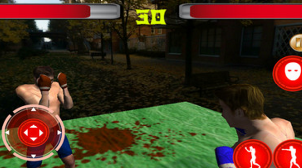 3D街霸拳斗手机安卓版v2.3 android版