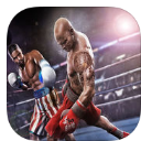 拳击冠军2017年比赛官方版(多种出拳方式) v1.7 苹果版