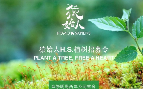 2017年上海植树节活动大全完整版截图
