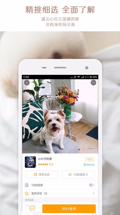 小狗在家宠物寄养app(宠物医生、宠物寄养) v2.7.2 安卓版