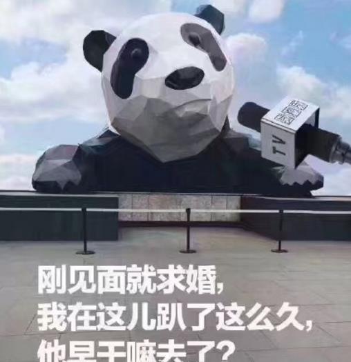 成都IFS熊猫求婚表情包1