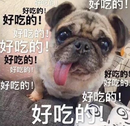 热门狗狗表情包2