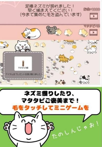 科科科的猫太郎手游官网版(超多类型的猫咪) v1.2 安卓最新版