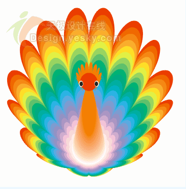CorelDRAW教程 绘制可爱鲜艳的小孔雀