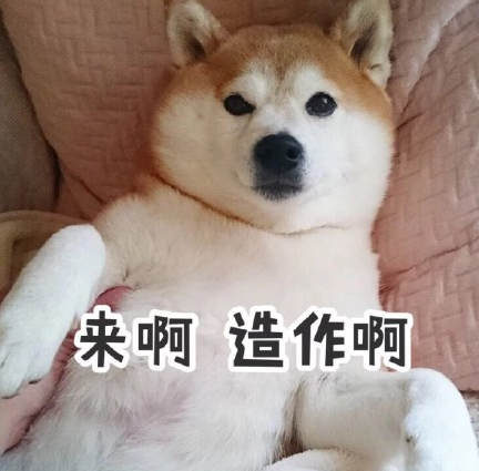 日本柴犬QQ表情包界面