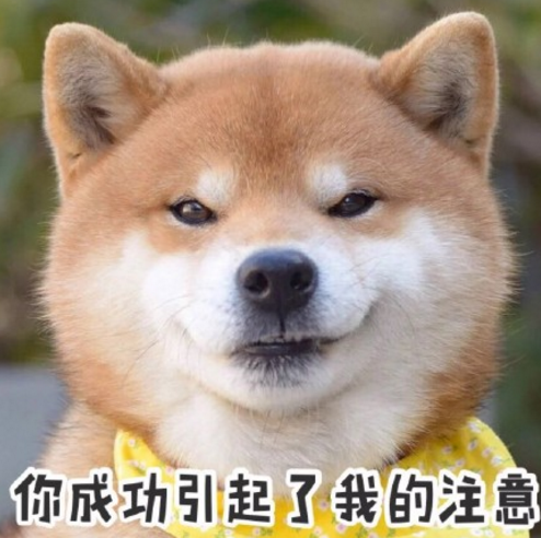日本柴犬QQ表情包截图
