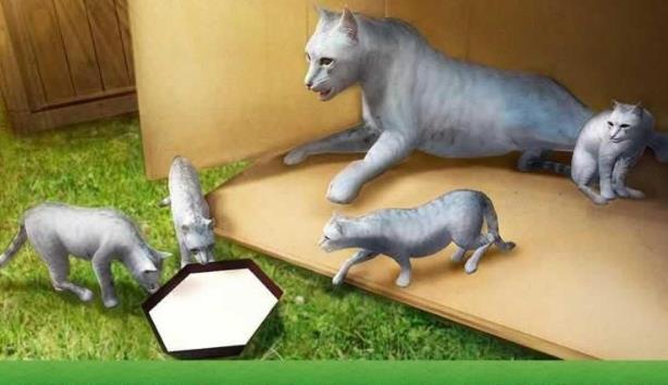 家猫模拟器3D中文安卓版(可以生育小猫咪) v1.2 手机版