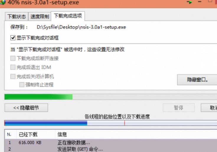 Internet Download Manager激活版