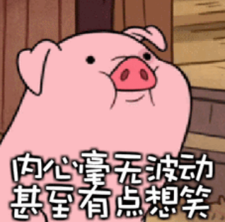 猪吃西瓜QQ表情包界面