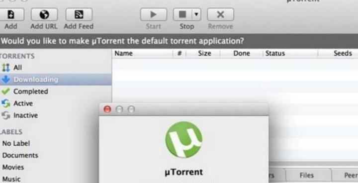 utorrent免安装版图片
