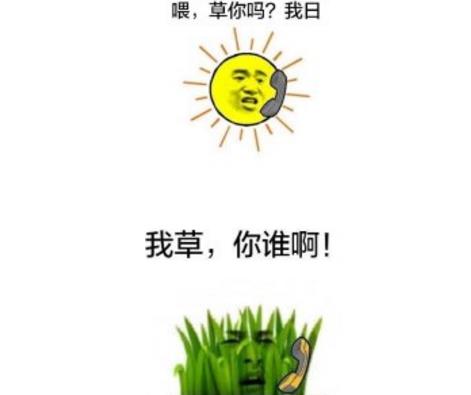 草和太阳的对话系列表情包介绍