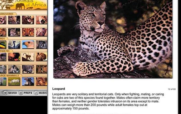 非洲动物拼图官方版