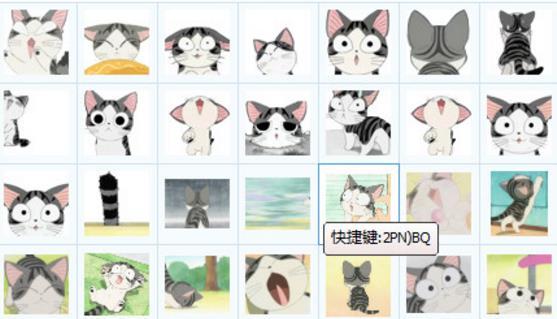起司猫表情包全集免费版图片