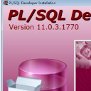 PLSQL Developer 64位