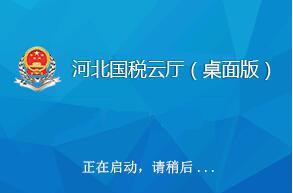 河北省云税微客户端桌面版